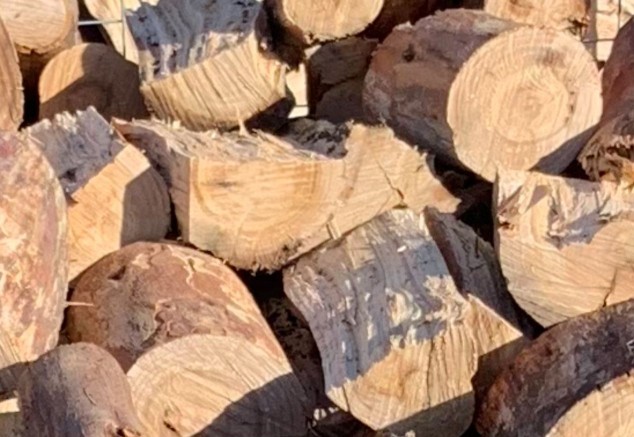 Sugar Gum Firewood